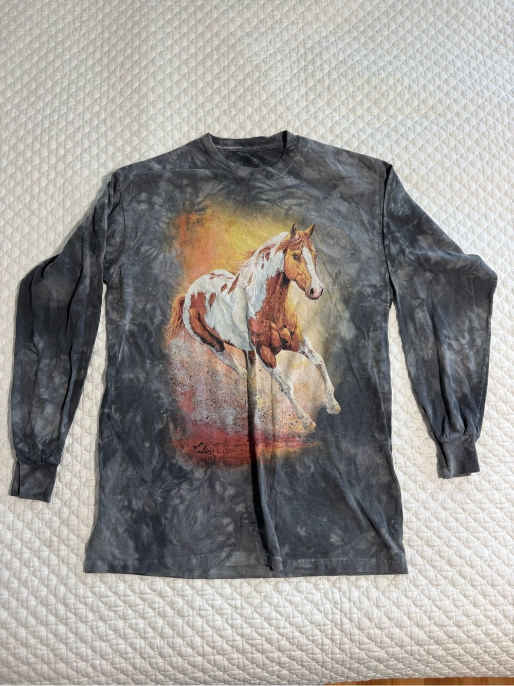 The Mountain Long-Sleeve Tie-Dye Horse Graphic Tee
